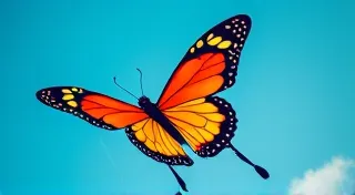 Creating Unique Kite Shapes: From Geometric to Abstract